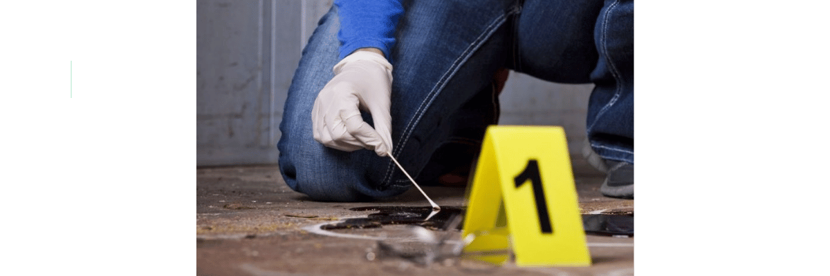 forensic-dna-swabs.png